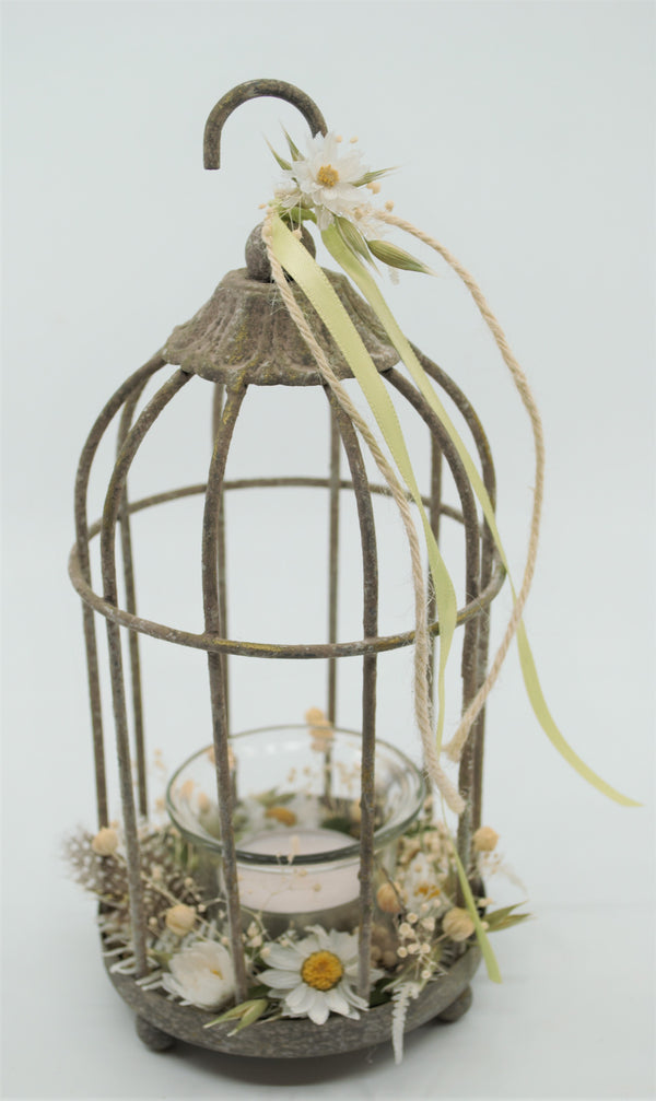 Petite cage à oiseau