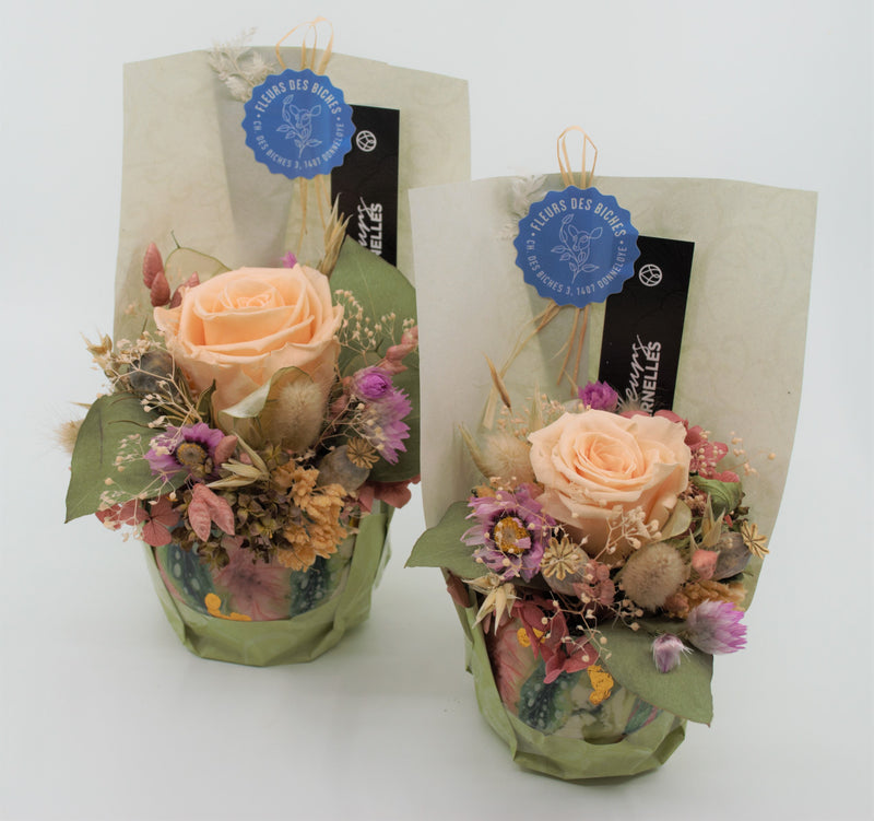 Les pots pastel et dorés