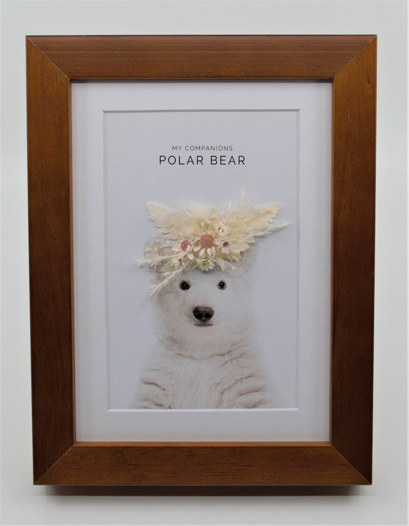Divers cadres floraux - Animaux